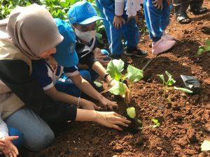 Murid TK Darul Hikmah belajar menanam didampingi mahasiswa Agroteknologi