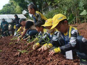 Murid TK Persada sedang menanam sayuran kangkung